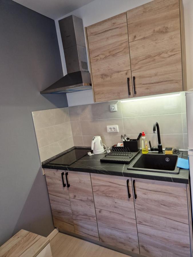 Sofia Apartment Sajmiste ภายนอก รูปภาพ